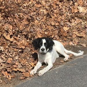 Meet your Posher, Zach